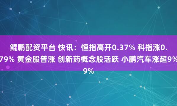 鲲鹏配资平台 快讯:恒指高开0.37% 科指涨0.79% 黄金股普涨 创新药概念股活跃 小鹏汽车涨超9%