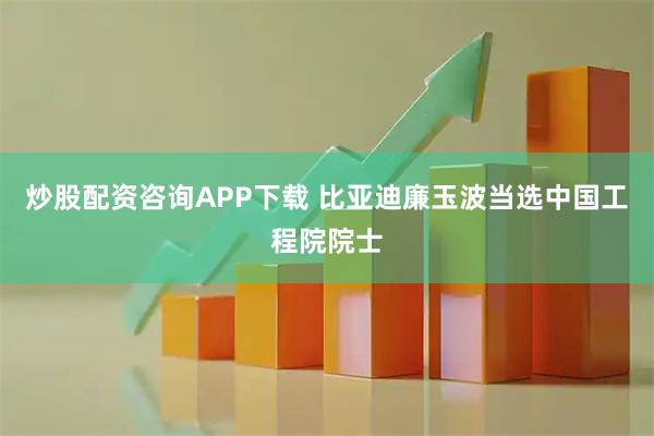 炒股配资咨询APP下载 比亚迪廉玉波当选中国工程院院士